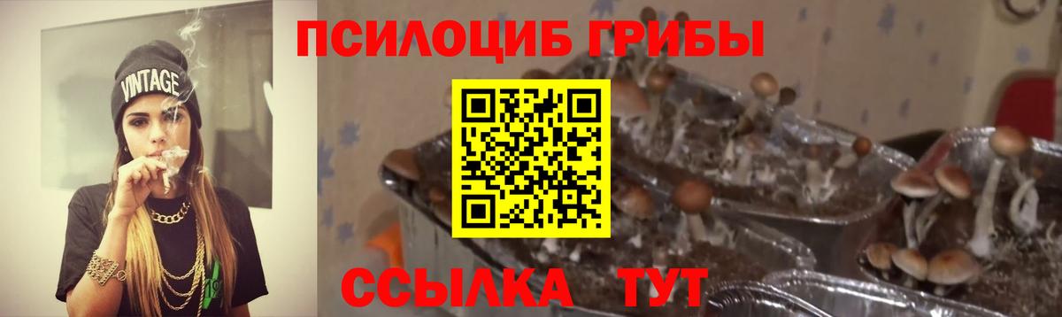 Великие Луки  Псилоцибиновые грибы GOLDEN TEACHER  Вход с VPN 